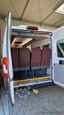 Kleinbus FIAT 1x Ducato 1x  Opel Movano 18 SS  in Stock