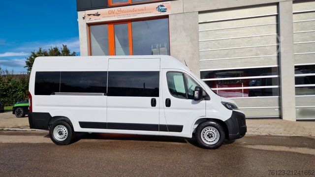 Minibus Opel Movao Fiat Ducato Systemboden Rolli