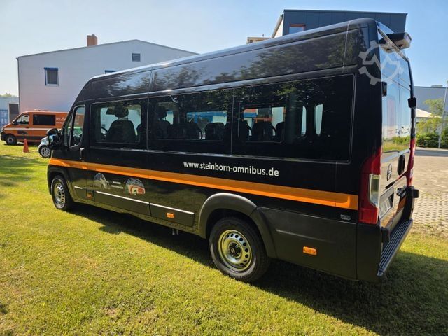 Minibus Opel Movao Fiat Ducato Systemboden Rolli