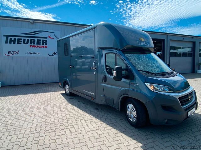 Livestock transporter FIAT Ducato Böckmann 2 Pferdetransporter