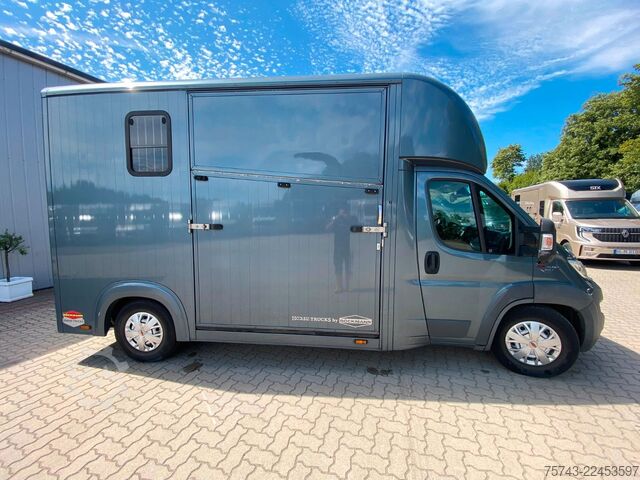 Livestock transporter FIAT Ducato Böckmann 2 Pferdetransporter