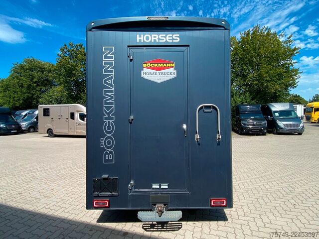 Livestock transporter FIAT Ducato Böckmann 2 Pferdetransporter