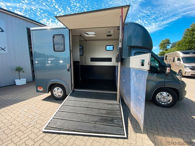 Livestock transporter FIAT Ducato Böckmann 2 Pferdetransporter