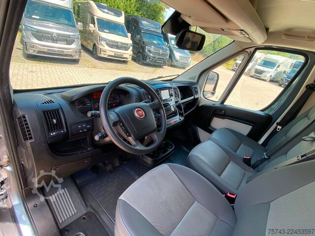 Livestock transporter FIAT Ducato Böckmann 2 Pferdetransporter