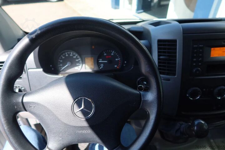 Delivery van Mercedes-Benz Sprinter 313 CDI + Airco