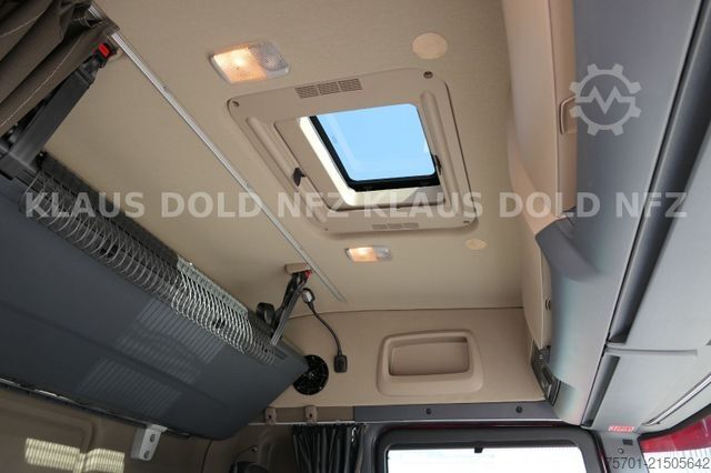 LKW mit Pritsche (offen) SCANIA R 490 Pritsche Kran Palfinger Retarder Euro 6