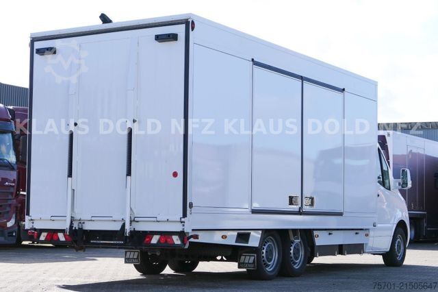 Autotransporter MERCEDES-BENZ Sprinter III 419 CDI Autotransporter Moetefindt