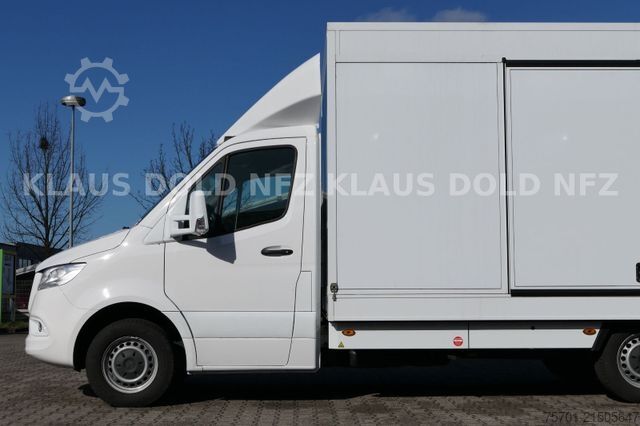 Autotransporter MERCEDES-BENZ Sprinter III 419 CDI Autotransporter Moetefindt