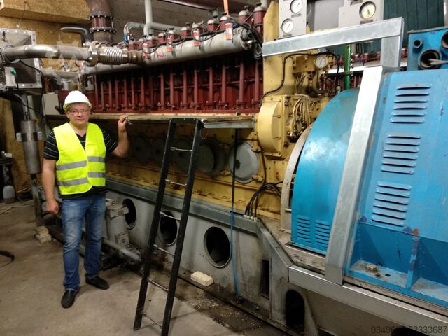 Modular gas-fired cogeneration power plant ALC "DIESELMASH - CGU" DvGA-630  8CHN25/34