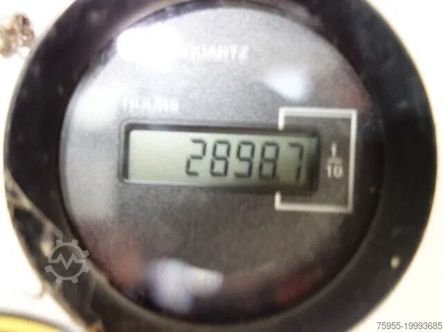 Hebebühne Renault Master 12 METER SKY WORKER