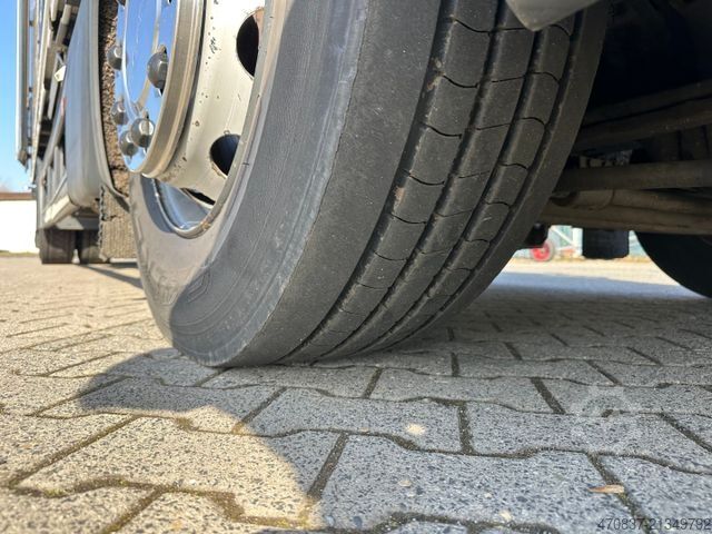 Kühlkoffer-LKW SCANIA P250 / LBW / Carrier 1150 MT / Seitentür / Trenn