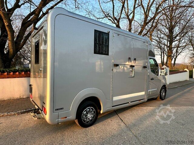 Van Renault Master STX Haras 1-2 Pferde Automatik