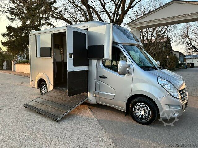 Van Renault Master STX Haras 1-2 Pferde Automatik