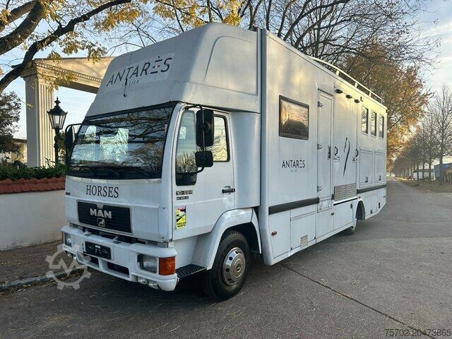 Cattle truck MAN 10224 Ketterer 4-5 Pferde Wohnung