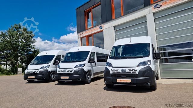 Kleinbus FIAT 1x Ducato 1x Opel Movano 18 SS in Stock