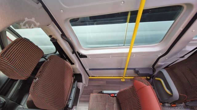 Kleinbus FIAT 1x Ducato 1x Opel Movano 18 SS in Stock