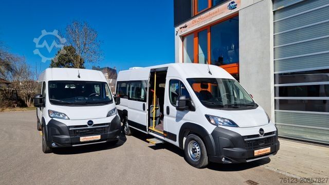 Kleinbus FIAT 1x Ducato 1x Opel Movano 18 SS in Stock