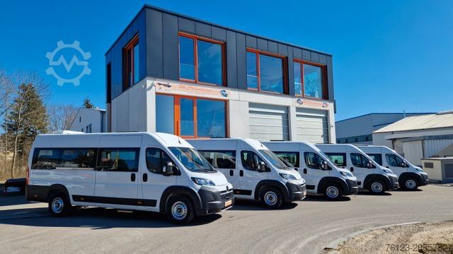 Kleinbus FIAT 1x Ducato 1x Opel Movano 18 SS in Stock