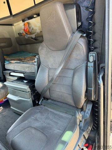 Logging truck MAN TGX 26.580