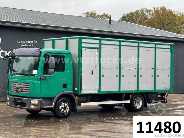 Viehtransporter MAN TGL 8.180 4x2 Köstner 1.Stock Viehaufbau