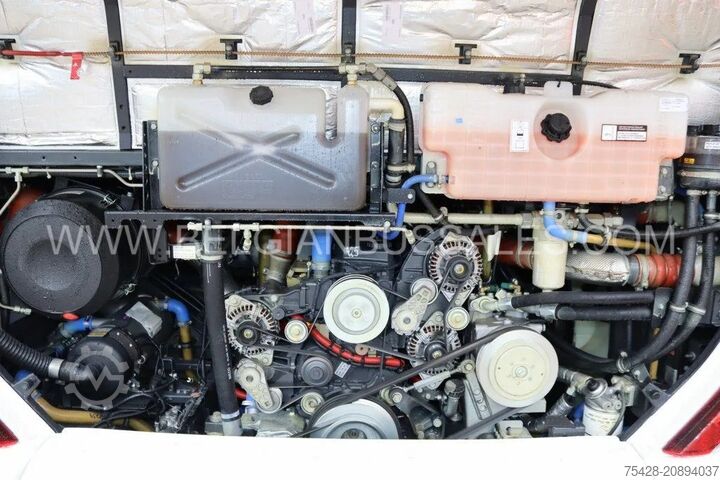 Intercitybus Iveco Crossway 12m Pop light / NEW!!