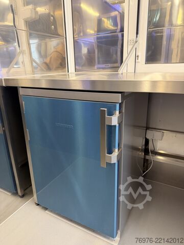 Mobile Shop/ Food Truck Renault Food Truck, Imbisswagen, NEU, REDUZIERT