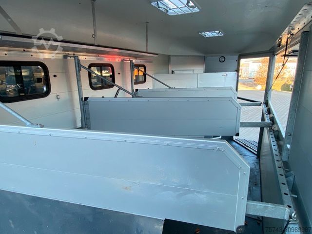 Horse transport trailer BÖCKMANN Traveller G 3  sofort verfügbar.