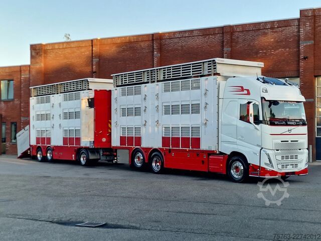 Viehtransport Volvo FH 13.500 XL 6x2 - Pezzaioli livestock 3 deck +...