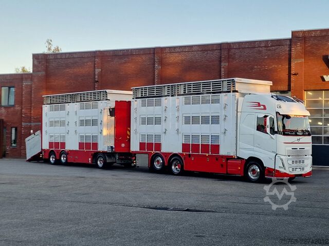 Viehtransport Volvo FH 13.500 XL 6x2 - Pezzaioli livestock 3 deck +...