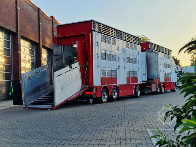 Viehtransport Volvo FH 13.500 XL 6x2 - Pezzaioli livestock 3 deck +...