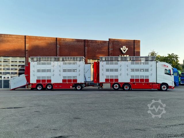 Viehtransport Volvo FH 13.500 XL 6x2 - Pezzaioli livestock 3 deck +...