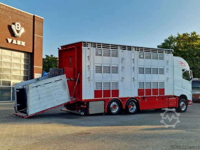 Viehtransport Volvo FH 13.500 XL 6x2 - Pezzaioli livestock 3 deck +...