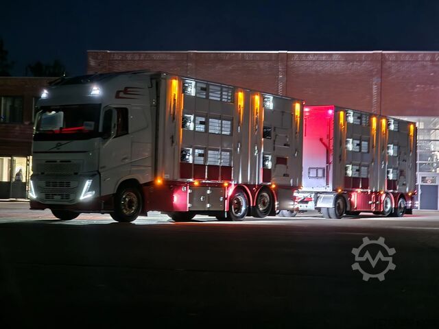 Viehtransport Volvo FH 13.500 XL 6x2 - Pezzaioli livestock 3 deck +...