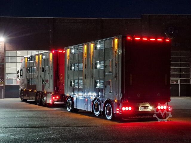 Viehtransport Volvo FH 13.500 XL 6x2 - Pezzaioli livestock 3 deck +...