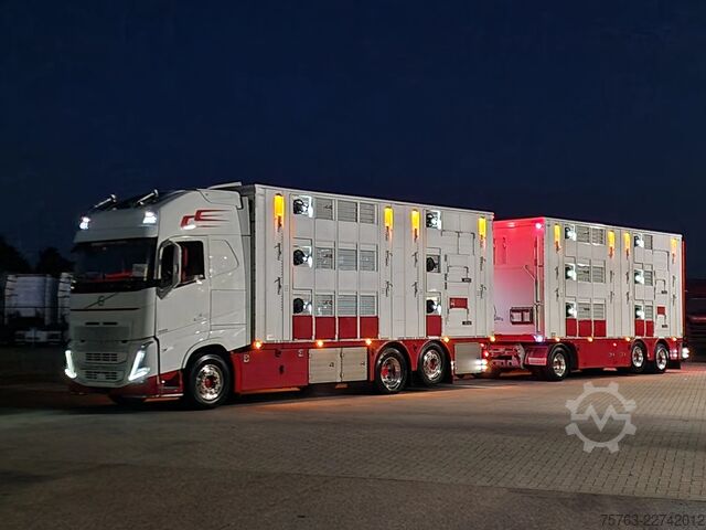 Viehtransport Volvo FH 13.500 XL 6x2 - Pezzaioli livestock 3 deck +...