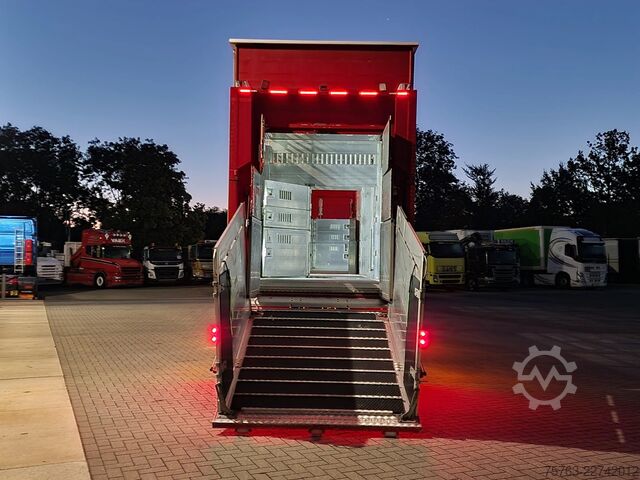 Viehtransport Volvo FH 13.500 XL 6x2 - Pezzaioli livestock 3 deck +...