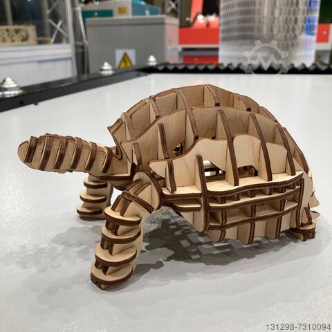 Die Wattsan 6040 Lasermaschine Wattsan 6040