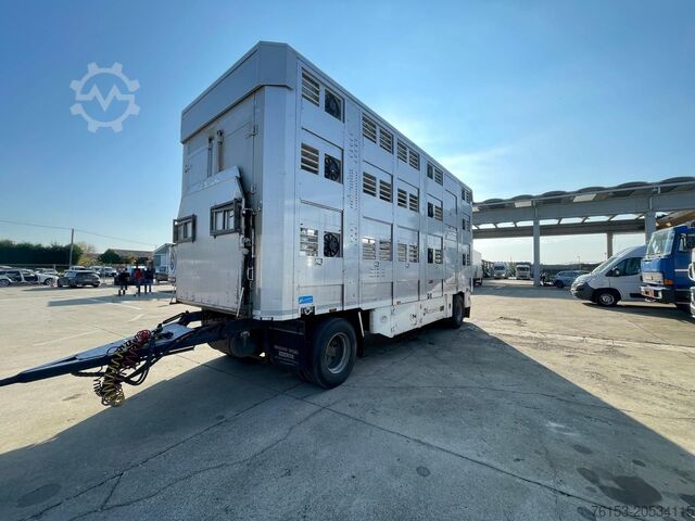 Vieh MICHIELETTO RM 20CPB