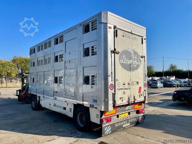 Vieh MICHIELETTO RM 20CPB