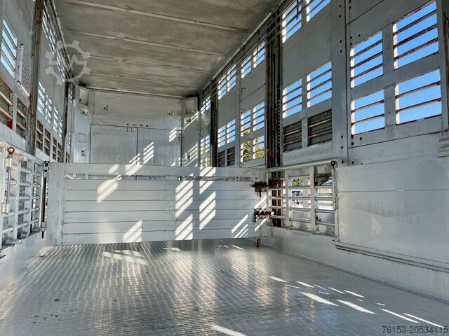 Vieh MICHIELETTO RM 20CPB