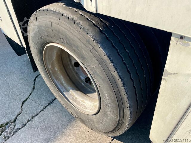 Vieh MICHIELETTO RM 20CPB