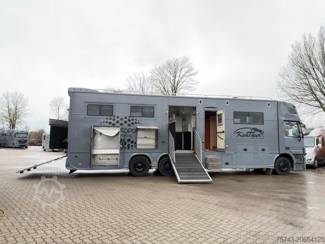 Cattle truck MERCEDES-BENZ Actros 2635 6 Pferde Pop-Out