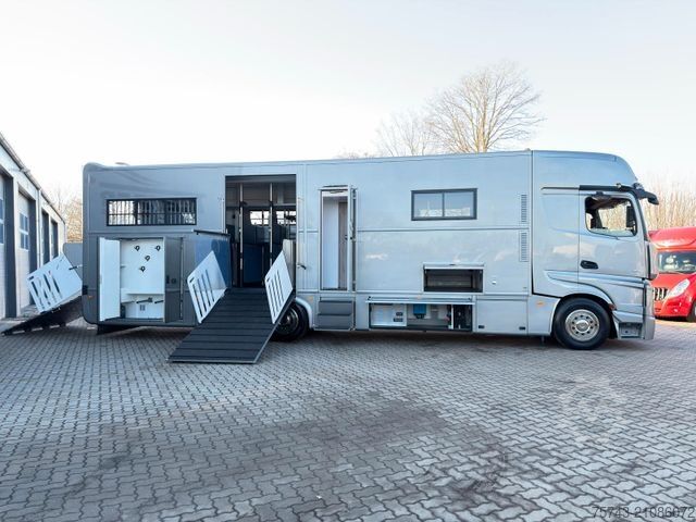 Viehtransporter LKW MERCEDES-BENZ Actros 2651 AKX  Pop-Out,  6 Pferde