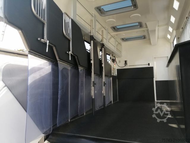 Viehtransporter LKW MERCEDES-BENZ Actros 2651 AKX  Pop-Out,  6 Pferde