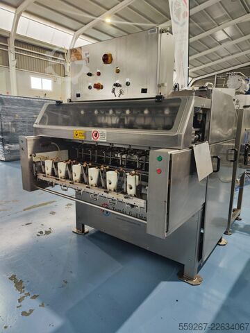 Schäl- und Entkernungsmaschine PND PND PL6