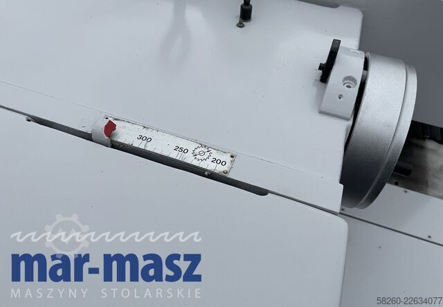 Ketten-Mehrblattsäge für Holz SCM M3 300/120