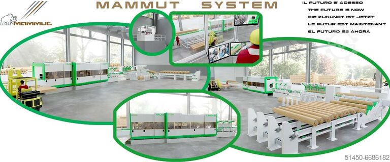 Logs processing plant Mammoth Trademak srl Mammut System