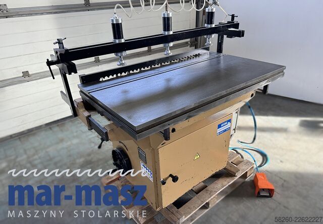 29-spindle multi-spindle drilling machine SCM FM 29 S
