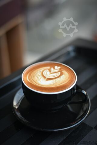 De Jong professional coffee machine De Jong DUKE