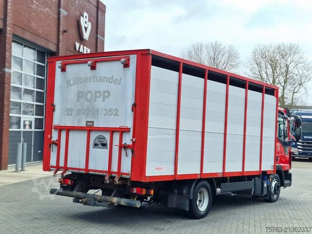 Viehtransport Iveco Eurocargo 80.220 Livestock 1 deck - Air suspens...